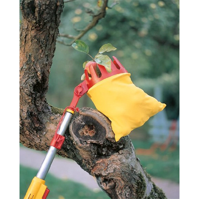 Vendita online Raccoglifrutta Multi-Star Wolf-Garten orientabile